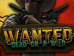 Wanted Dead Or A Wild